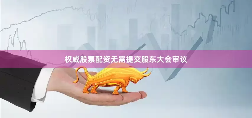 权威股票配资无需提交股东大会审议