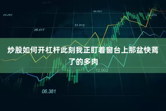 炒股如何开杠杆此刻我正盯着窗台上那盆快蔫了的多肉